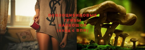 бутират Баксан