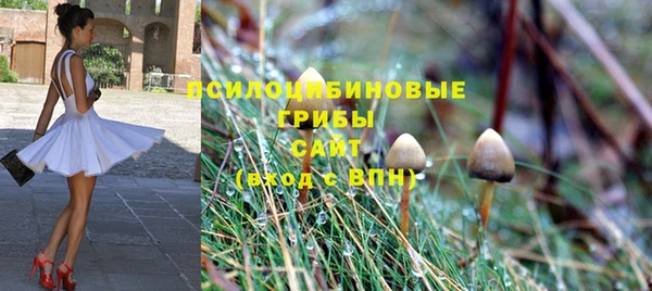 дурь Балахна
