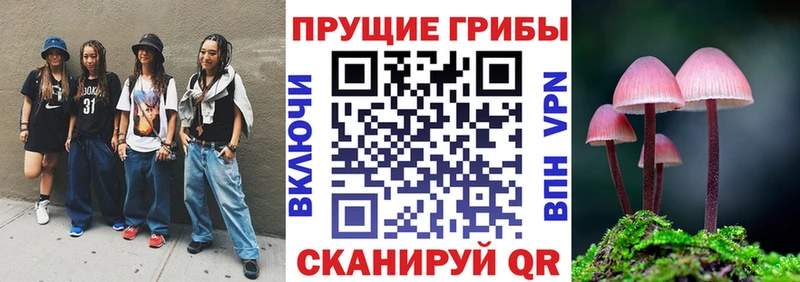 Купить  Ивангород  Псилоцибиновые грибы Psilocybe 